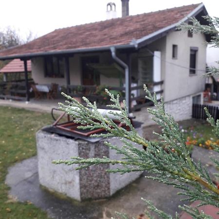 Galerija Jovanovic Topola 外观 照片